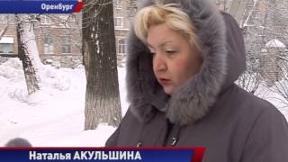 Жестокое обращение с бездомными собаками Жестокое обращение с бездомными собаками