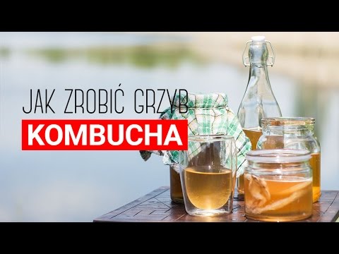 Wideo: Jak Zrobić Kombucha