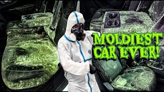 Deep Cleaning The MOLDIEST BIOHAZARD Jeep EVER! | Can This DISASTER Be Saved?!