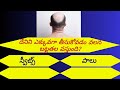 Interesting questions in telugu || general knowledge ||జనరల్ నాలెడ్జ్ || interesting facts|subscribe
