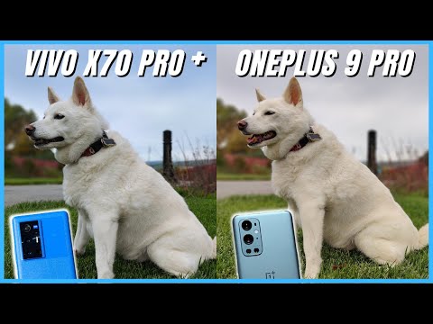 Vivo X70 Pro Plus vs OnePlus 9 Pro Camera Comparison