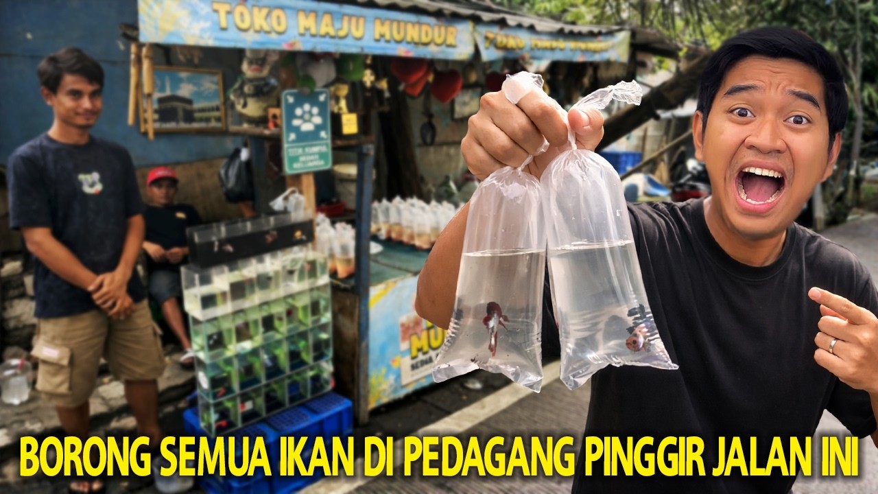 BORONG SEMUA IKAN DI PEDAGANG PINGGIR JALAN INI! BERBAGAI BETTA FISH EDISI IMLEK DIJUAL DI SINI!