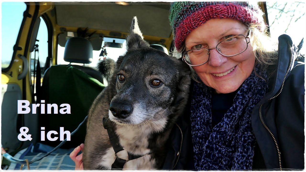 🙋‍♀️🐺🚶‍♂️ / ein neues Altered (Kinder)Buch (4)