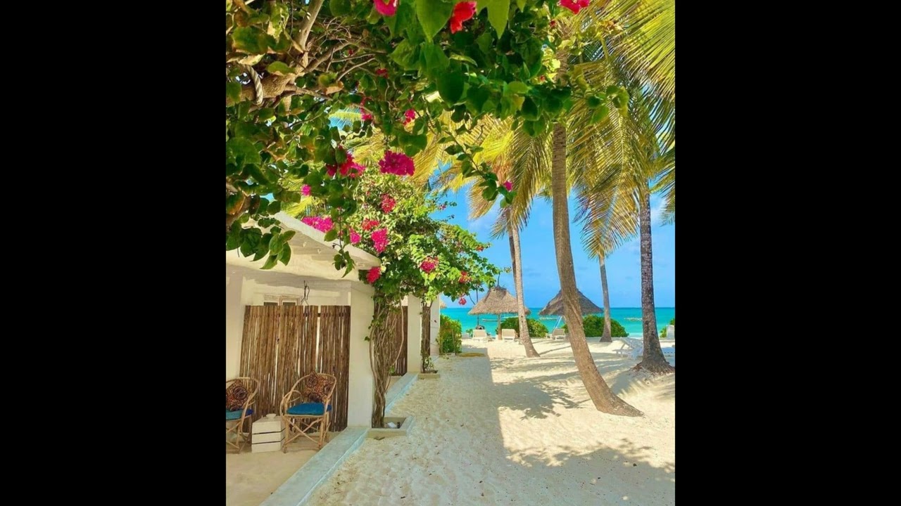 oodaredevil kelewya mingo surfswag type beat -  tiki surf