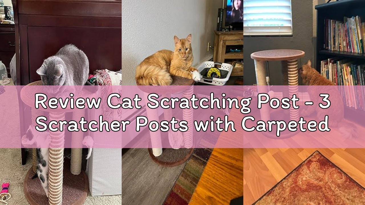 Review Cat Scratching Post - 3 Scratcher Posts with Carpeted Base Play Area and Perch - Furniture Sc