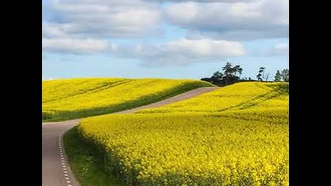 ماتيسر من سورة يوسف بصوت الشيخ إبراهيم الجبربن