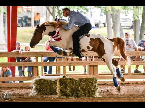 The Appalachian Trainer Face Off by Heart of Phoenix changes the lives of horses through trainers