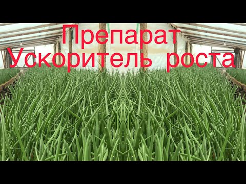 Как увеличить скорость роста пера на Луке? Панамин