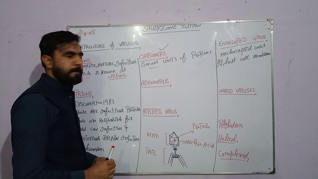 Structure of Viruses | Difference Between Prion and virion |Fsc part 1 Biology