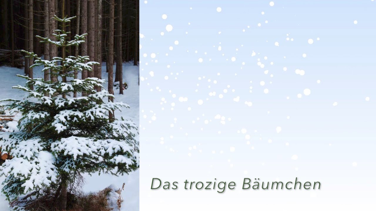 Das trotzige Christbäumchen (erzählt von Reini) - YouTube Das trotzige Christbäumchen (erzählt von Reini) - YouTube