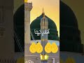 #muhammad #madina #muslim 🥰🥰🥰🥰 Ameen
