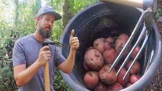 This Thing Removes Invasive Weeds! [And Digs Potatoes]