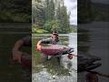 ¡El increíble cañón que dispara peces para salvar salmones! #FishCannon
