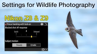 How I set up the Nikon Z8 and Z9 for Bird and Wildlife Photography  Important Settings