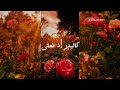 أنشودة مطلع النور أحمد النفيس 
