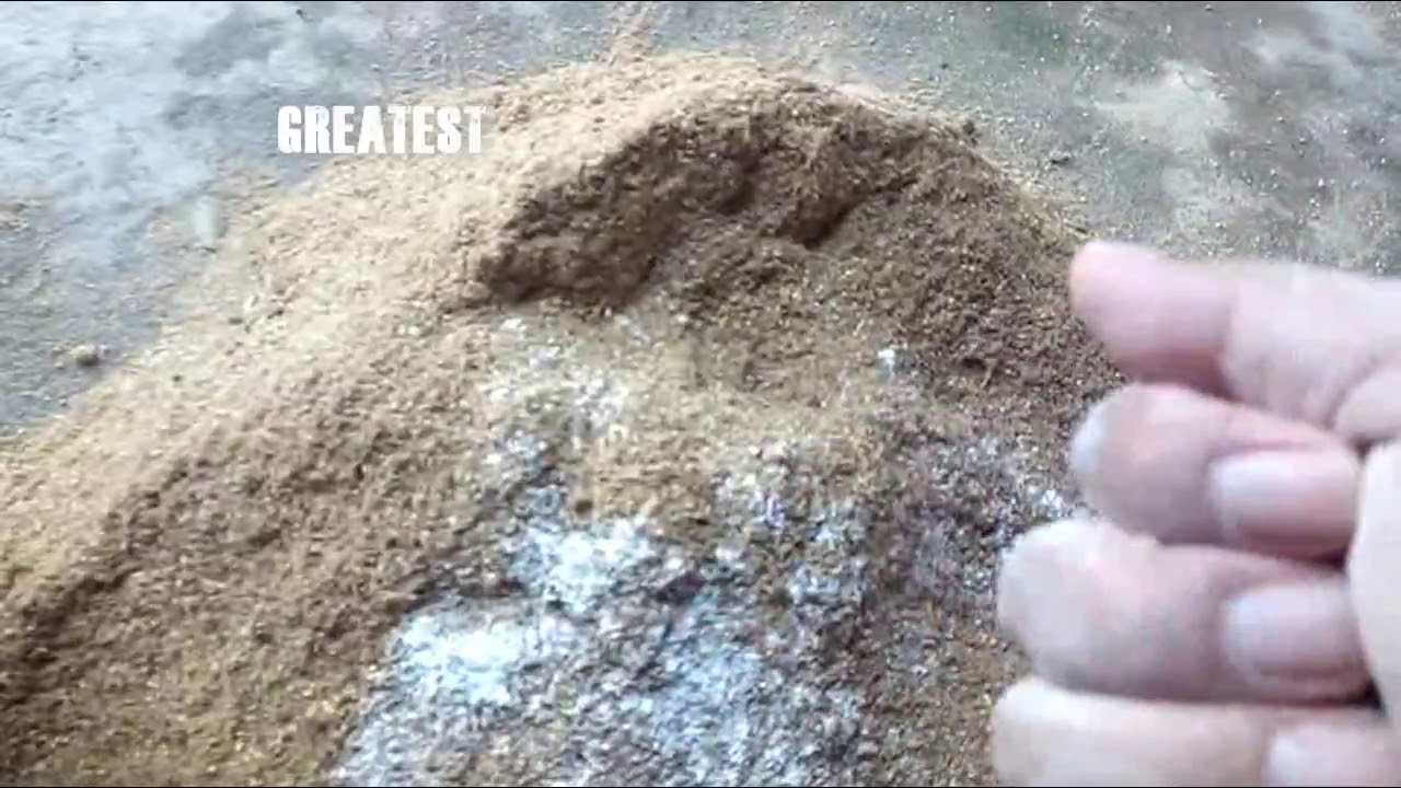 MEMBUAT MEDIA BIBIT JAMUR TIRAM..!! 