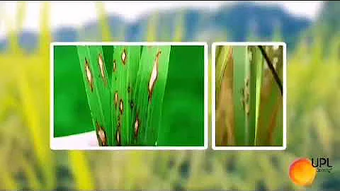 UPL gainexa telugu video