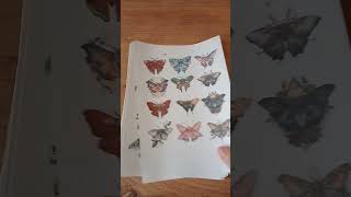 Yeni Hazırladığım Steckerlarım