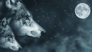 Native American Flute Music: Meditation for the Root Chakra, Binaural Beat, Relaxing Music