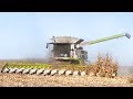 🇫🇷 XXL CORN Harvest / Moisson Maïs in FRANCE ! 16 ROWS & Lexion 770