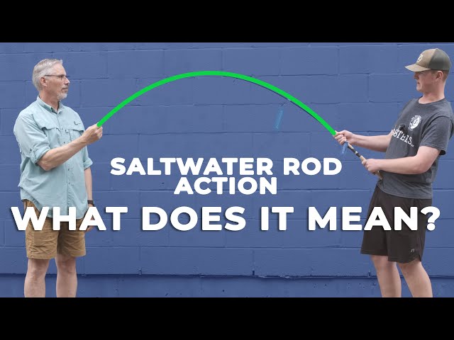 Saltwater Rod Action What Does It Mean? Different Rod Actions Explained 