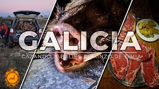 Caza en Galicia - Batida de Jabalí