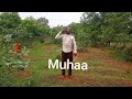 Bhusweru Bhujiku
