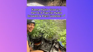 Cannabis Hydro Grow 2.0 Part 4: 5 Tips for Hydro Growers & Plant Updates! 🌱 (February 7th 2024)