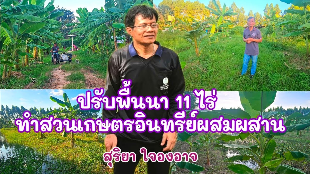 ปรับพื้นนา 11 ไร่ ทำสวนเกษตรอินทรีย์ผสมผสาน || เอ็นดูฟาร์มรัก Channel