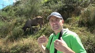 Descubre con Marcos Sancio: Sendero Natural PRG-100 Aciveiro-Candán