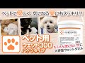 ペット用ウェット300バケツタイプ