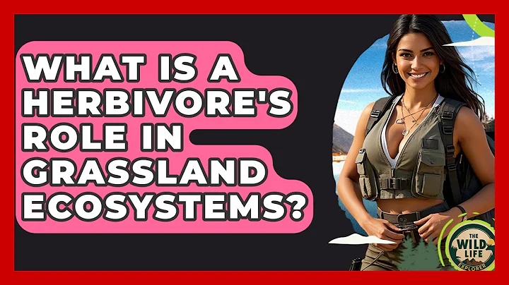 What Is A Herbivore's Role In Grassland Ecosystems? - The Wild Life Explorer
