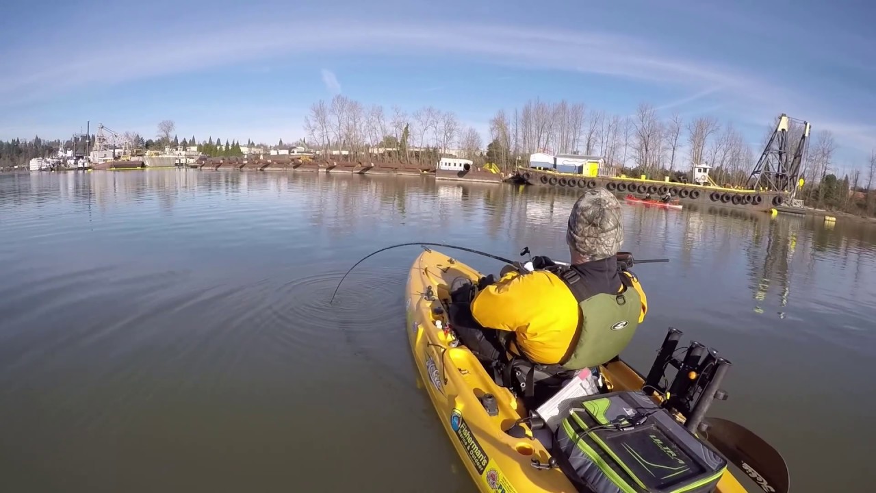 Kayak Fishing Sturgeon YouTube