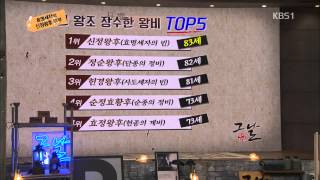 [HIT] 역사저널 그날 (The day) - 효명세자와 신정왕후 부부, 세도정치에 칼을 겨누다.20150726