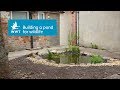 How to create a pond in your garden for wildlife | WWT