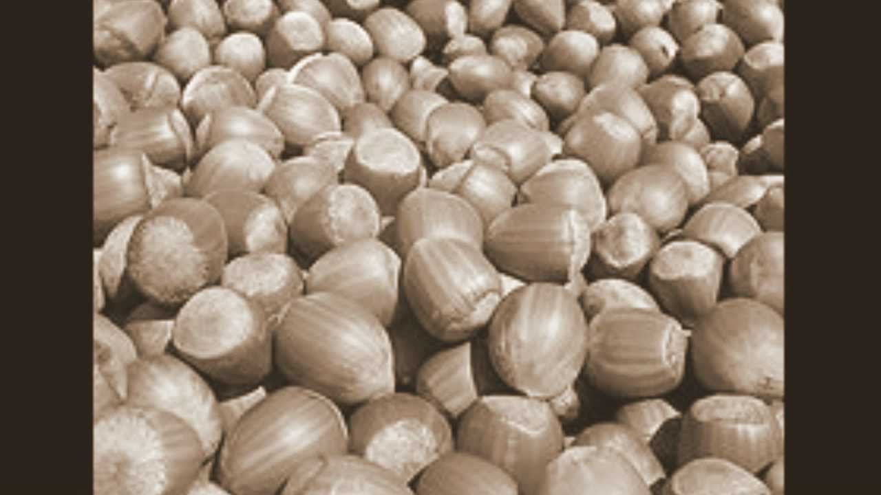 Hot Nuts (Get 'em from the Peanut Man) by Georgia White