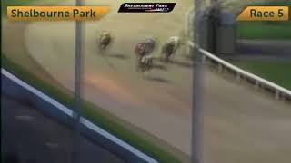 Irish Derby 2017 - Round 2 Heat 10 - Clona Kid