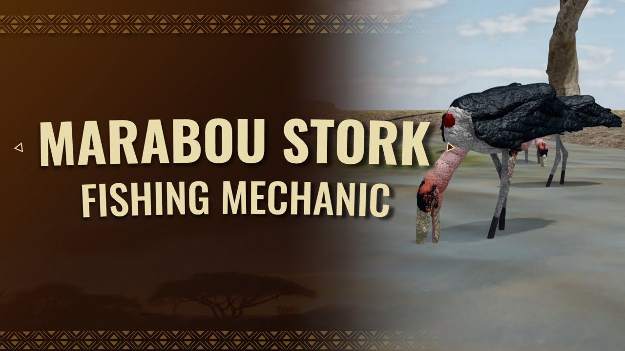 MARABOU STORK FISHING PREVIEW