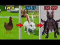 Animal Evolution