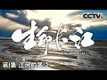 《生命长江》 可可西里：三江源的腹地 中国现存最伟大的荒野 自然的轮回在这里恪守着万物平衡的法则 EP01【CCTV纪录】