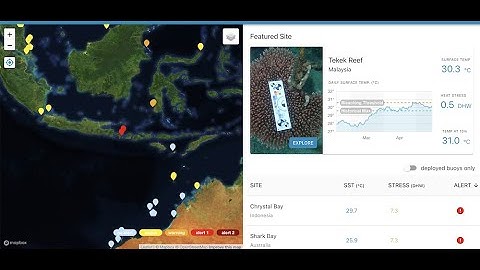 Aqualink & Sofar Ocean Webinar: Monitoring for your marine ecosystem
