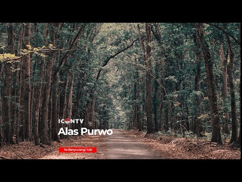 alas-purwo