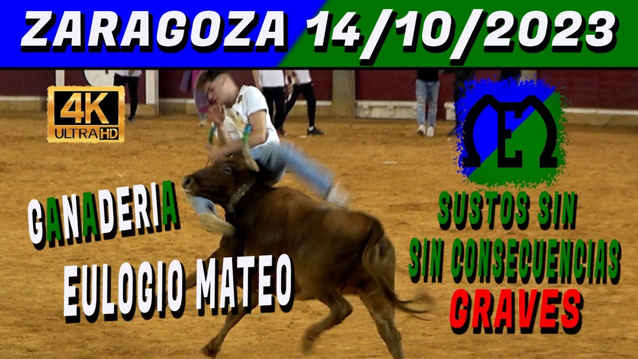 👉👀👌ZARAGOZA 2023 EULOGIO MATEO
