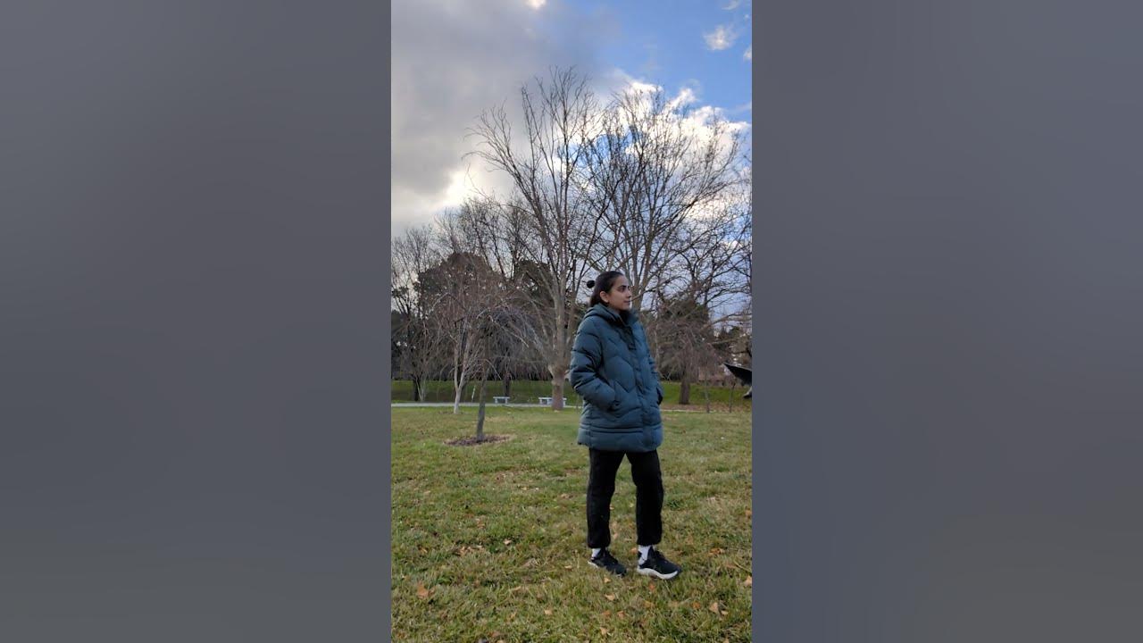 Chasing Dream Meaning In Nepali Chasing Dream Meaning In Nepali