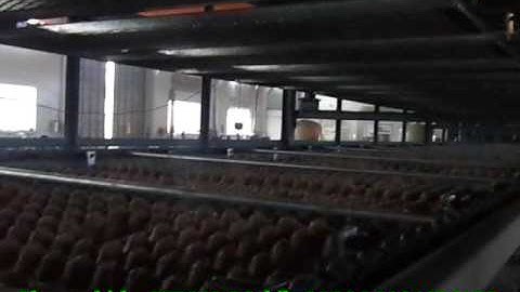 multi layer drying line for egg trays making