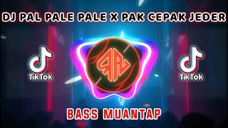 DJ PAL PALE PALE X PAK CEPAK JEDER BASS NGERI || SOUND VIRAL