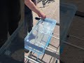 Hochwasserschutz Kellerfenster nachrüsten: In 10 Minuten dicht! (Montageanleitung)