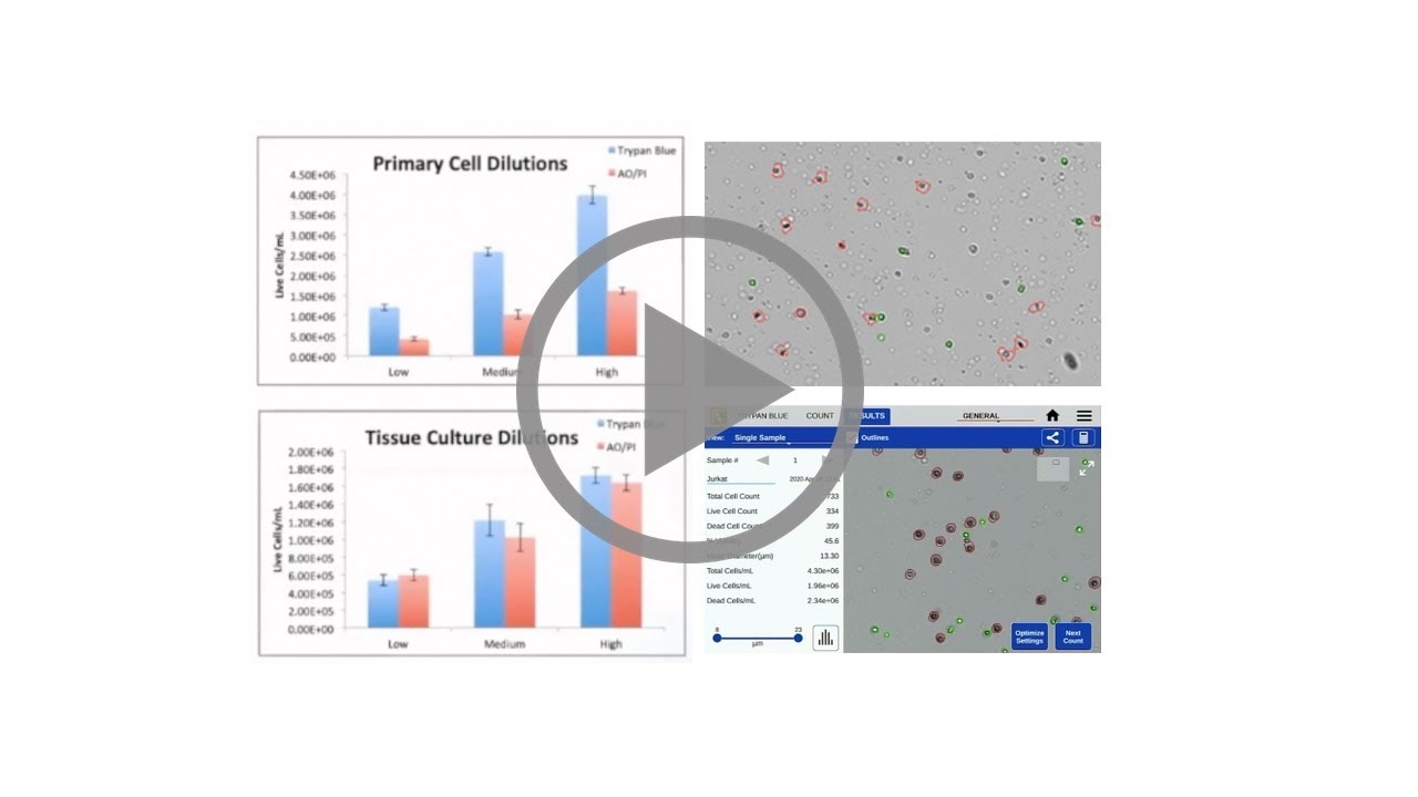 Automated Cell Counting | Brightfield vs Fluorescence