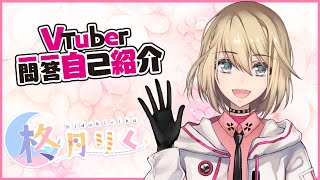 「【Vtuber Q&A Self Introduction】Vtuber一問一答自己紹介【柊月りく/VTuber】」のサムネイル