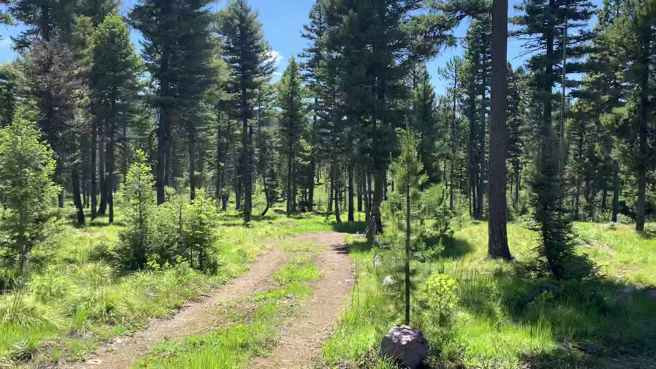 1794 Vista Ln, Potomac, MONTANA OFF GRID PROPERTY NEW HOME Proposed Site YouTube